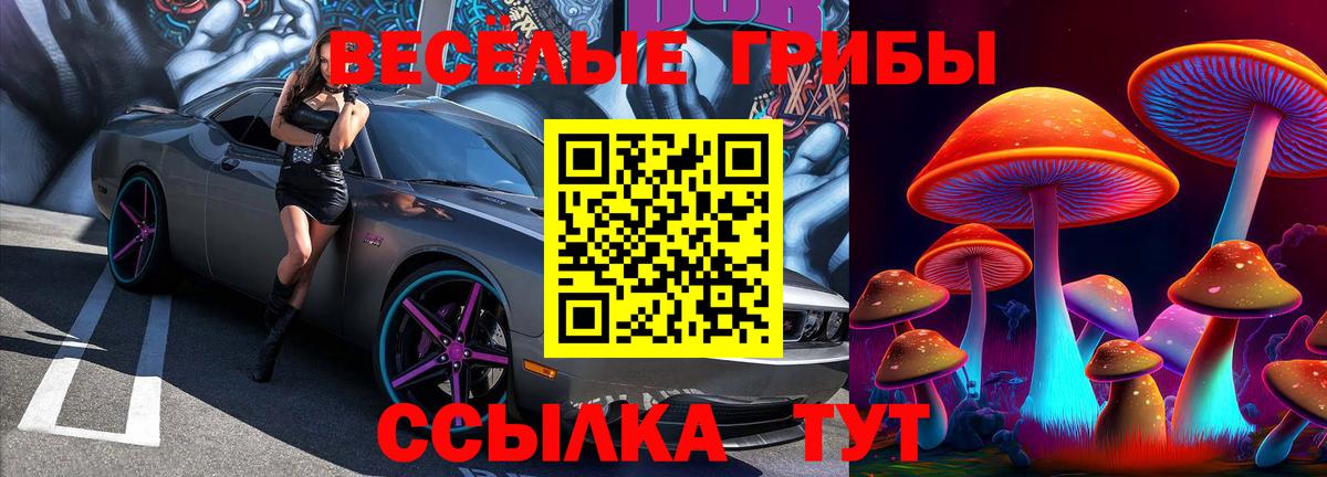Павловский Посад  даркнет сайт  Вход с VPN  Псилоцибиновые грибы Cubensis 